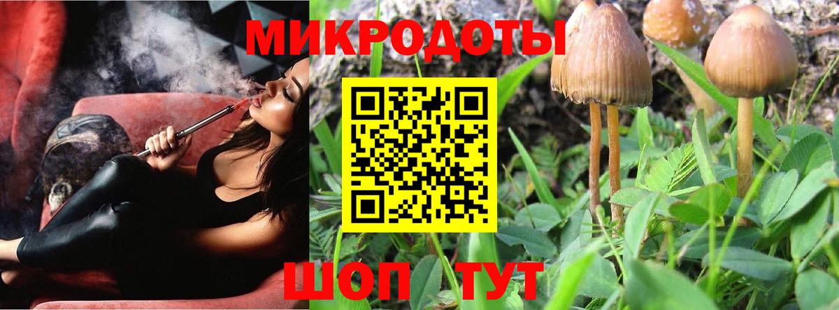 Галлюциногенные грибы GOLDEN TEACHER  Вход с VPN  Карабулак 